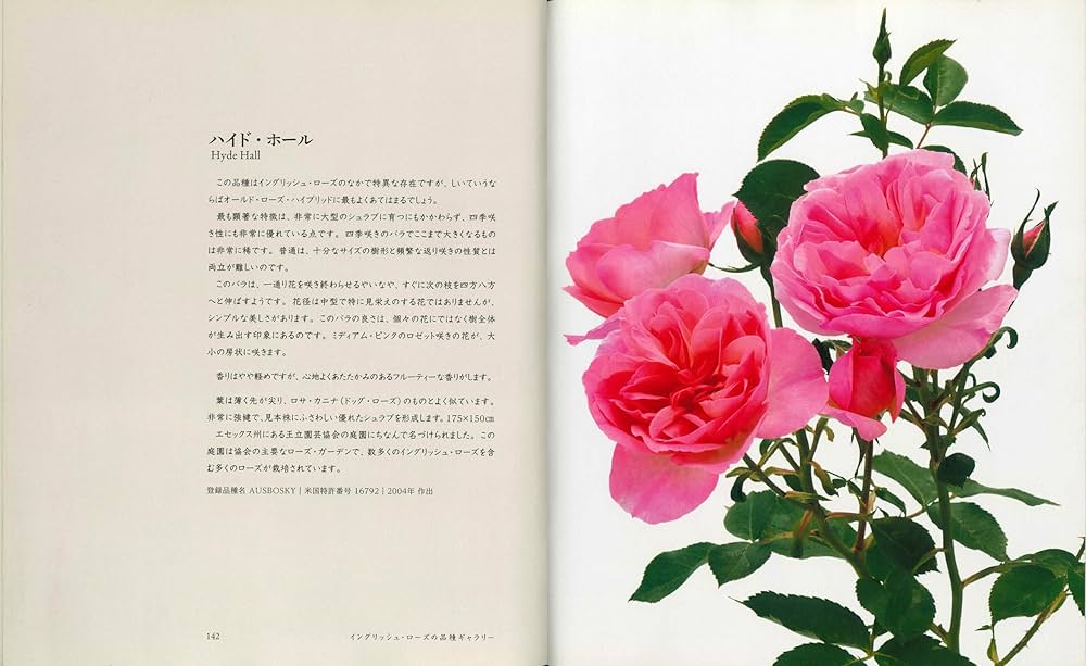 新イングリッシュローズ (GAIA BOOKS) | デビッド オースチン